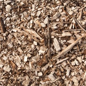 Wood chips