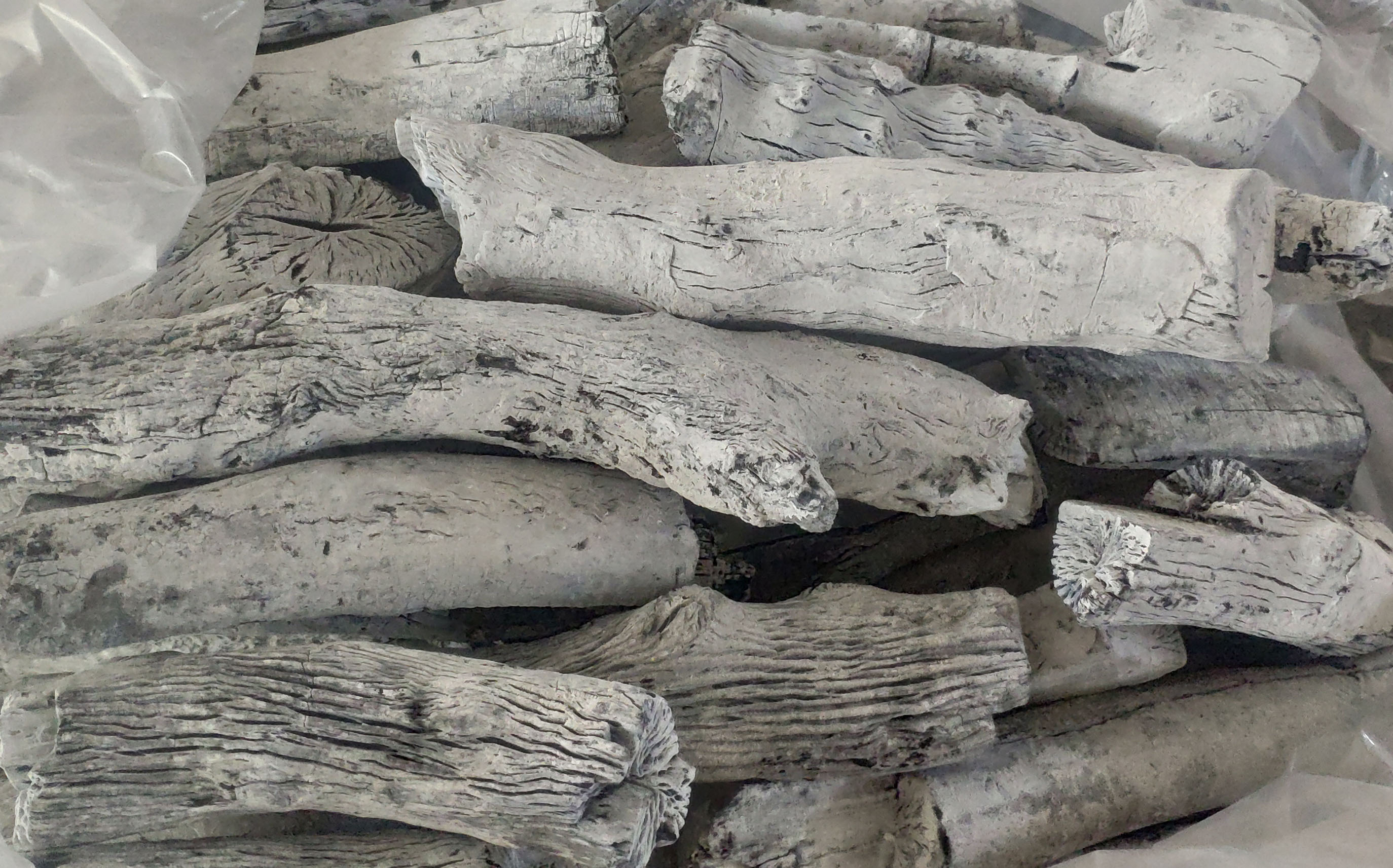 Premium Lychee White Charcoal: Vietnam's Finest Manufacturer (Litchi white  charcoal)