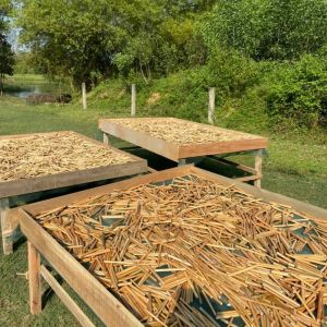 Bamboo Straws