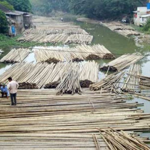 Method of treating musty and musty for bamboo