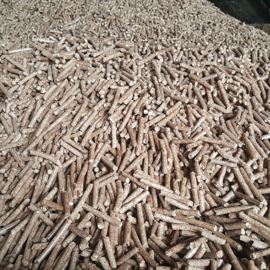 8mm-1024x1024