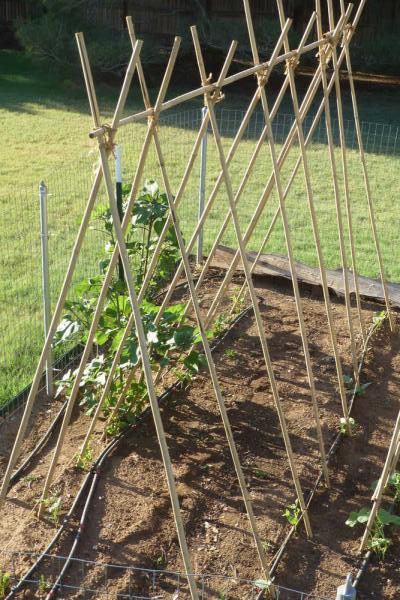 Bamboo_Garden_Stakes