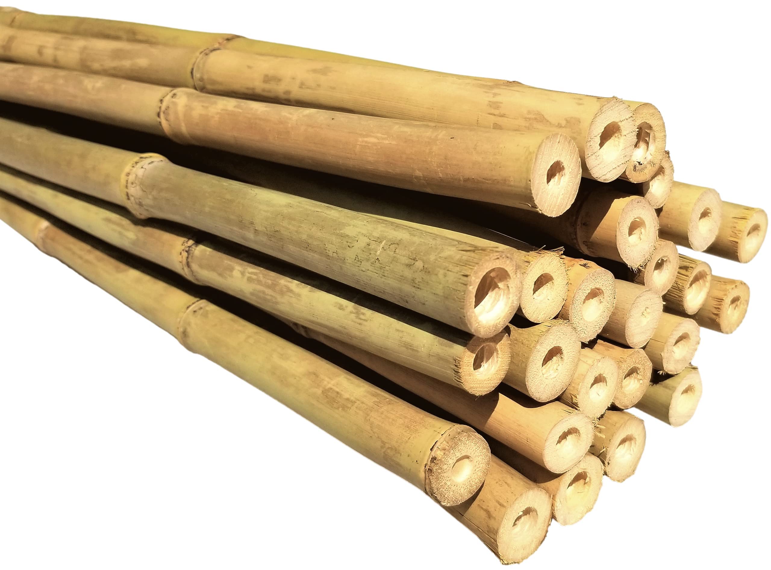 Bamboo_Stakes_from_THbamboo
