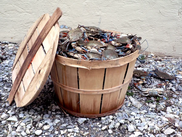 Crabs_in_Bushel_Basket_1