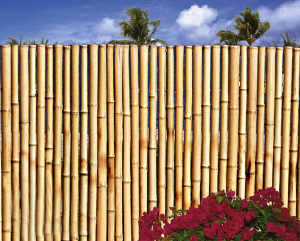 Natural-bamboo-Fencing