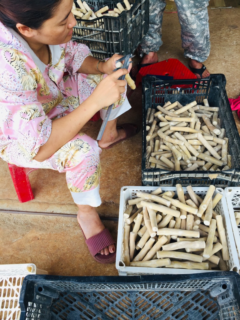 Production_of_Coffee_Wood_Chew_Toy