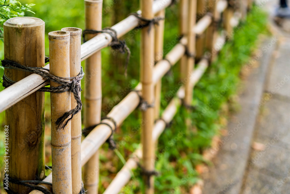 bamboo-fencing